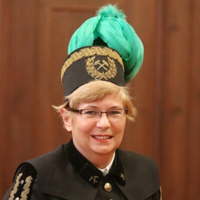 prof. dr hab. inż. Monika Hardygóra